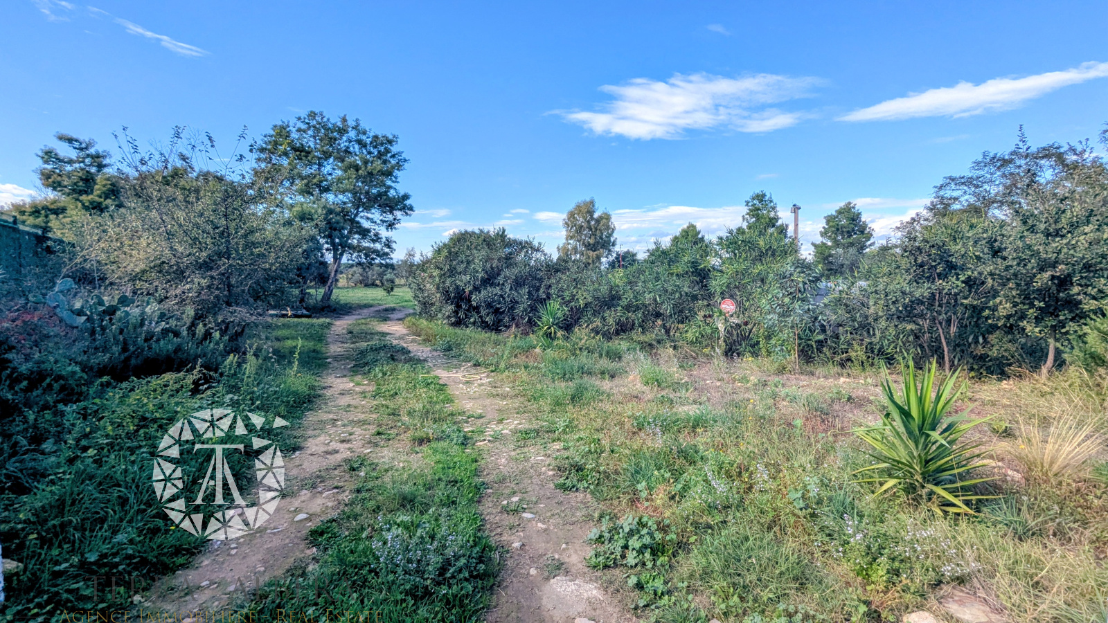 Image_6, Terrain agricole, Saint-André, ref :1909
