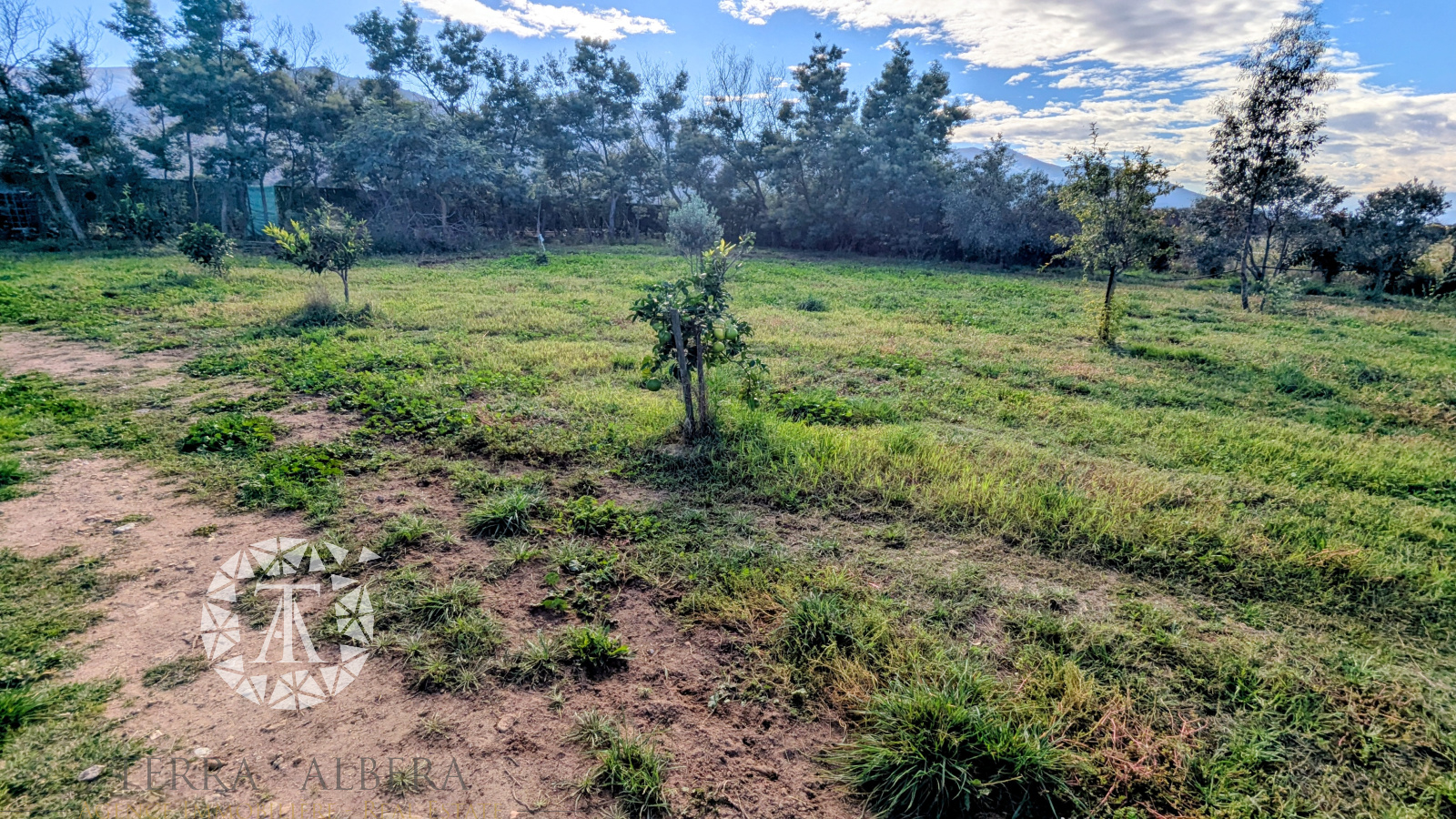 Image_7, Terrain agricole, Saint-André, ref :1909