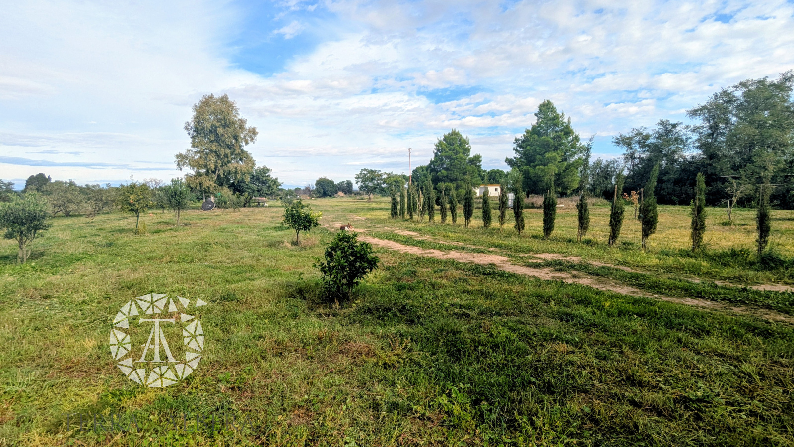 Image_3, Terrain agricole, Saint-André, ref :1909