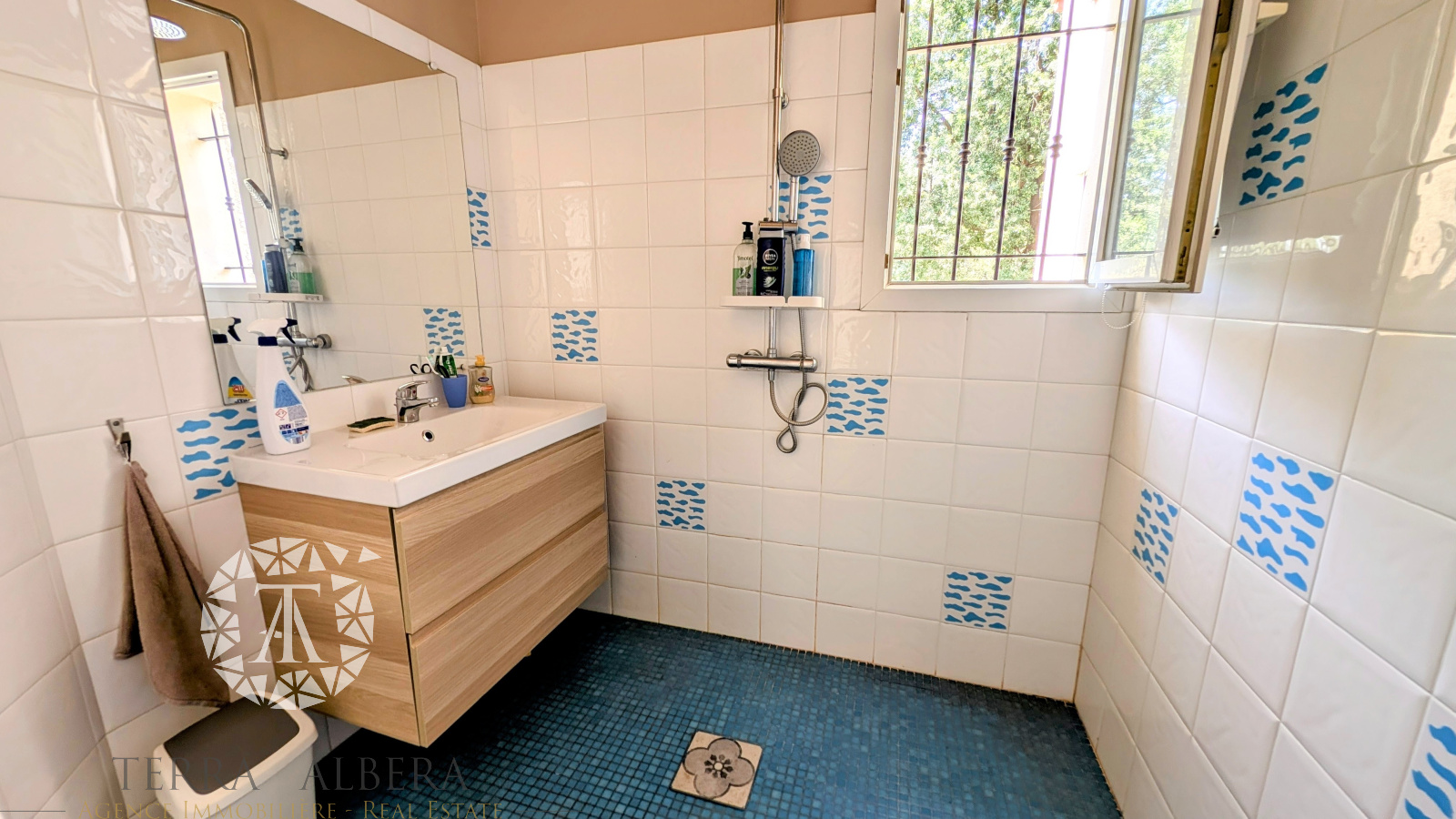 Image_13, Villa, Montesquieu-des-Albères, ref :C1849