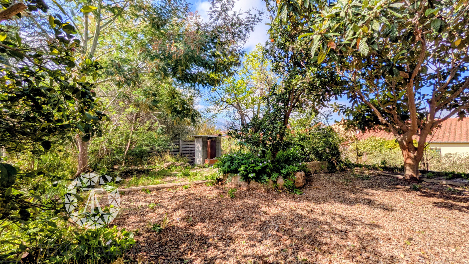 Image_13, Appartement, Sorède, ref :D1968