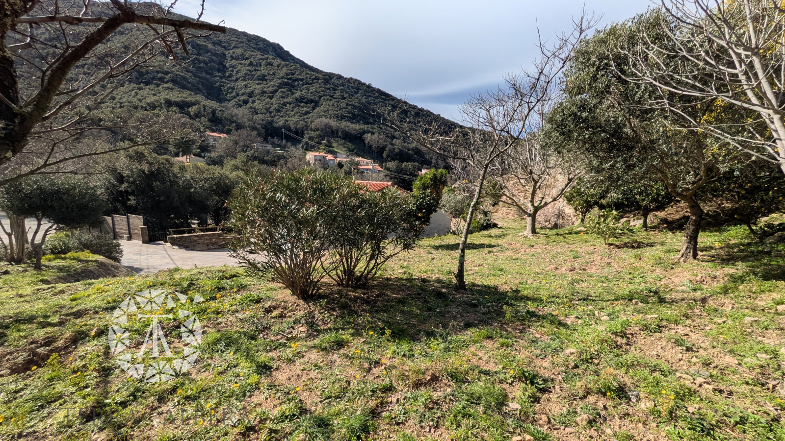 Image_6, Villa, Sorède, ref :D2028