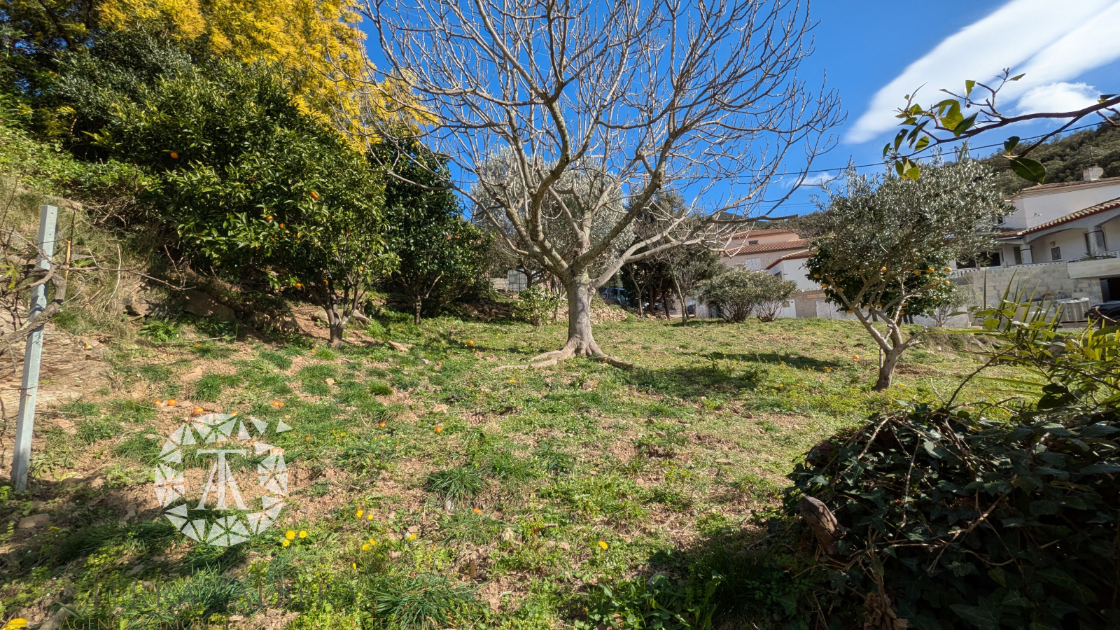 Image_30, Villa, Sorède, ref :D2028