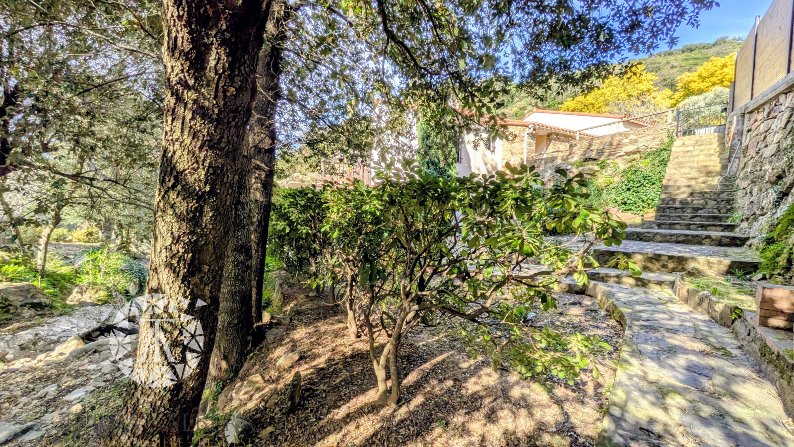 Image_37, Villa, Sorède, ref :D2028