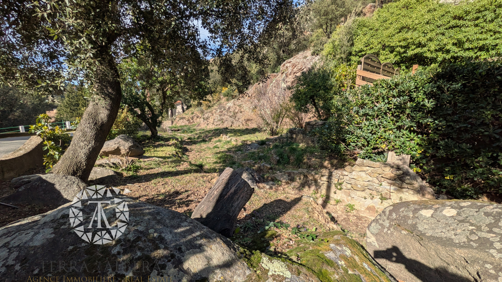 Image_38, Villa, Sorède, ref :D2028