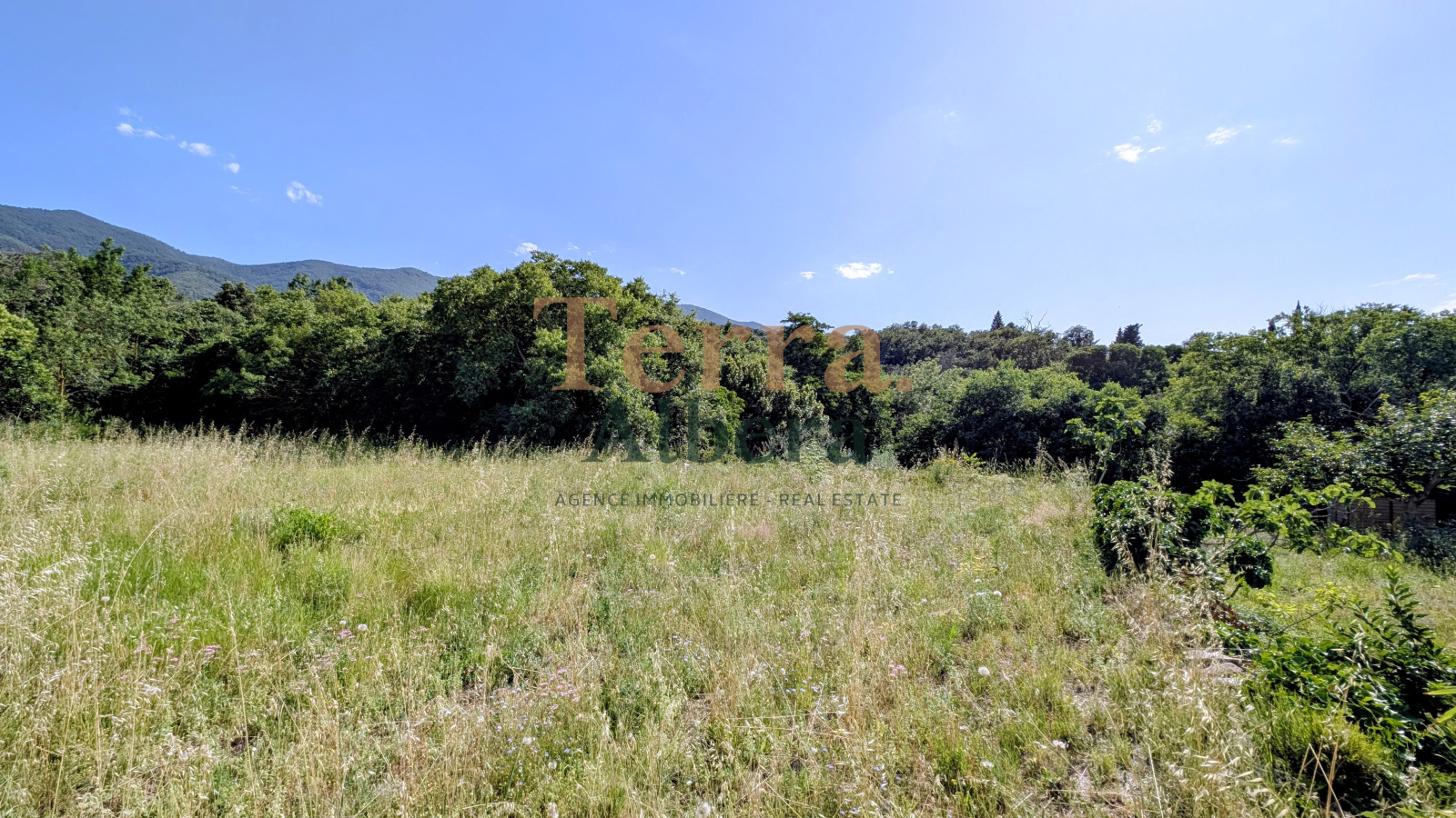 Image_1, Terrain, Villelongue-dels-Monts, ref :V2067