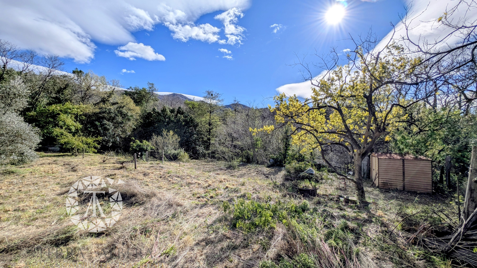 Image_1, Terrain agricole, Villelongue-dels-Monts, ref :V2067