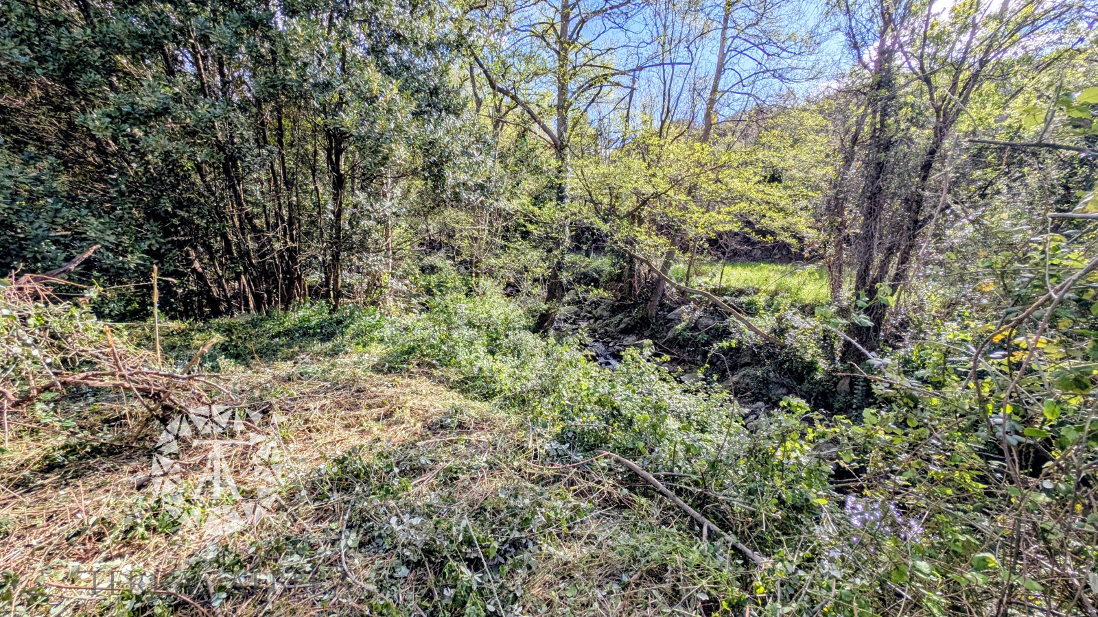 Image_4, Terrain agricole, Villelongue-dels-Monts, ref :V2067