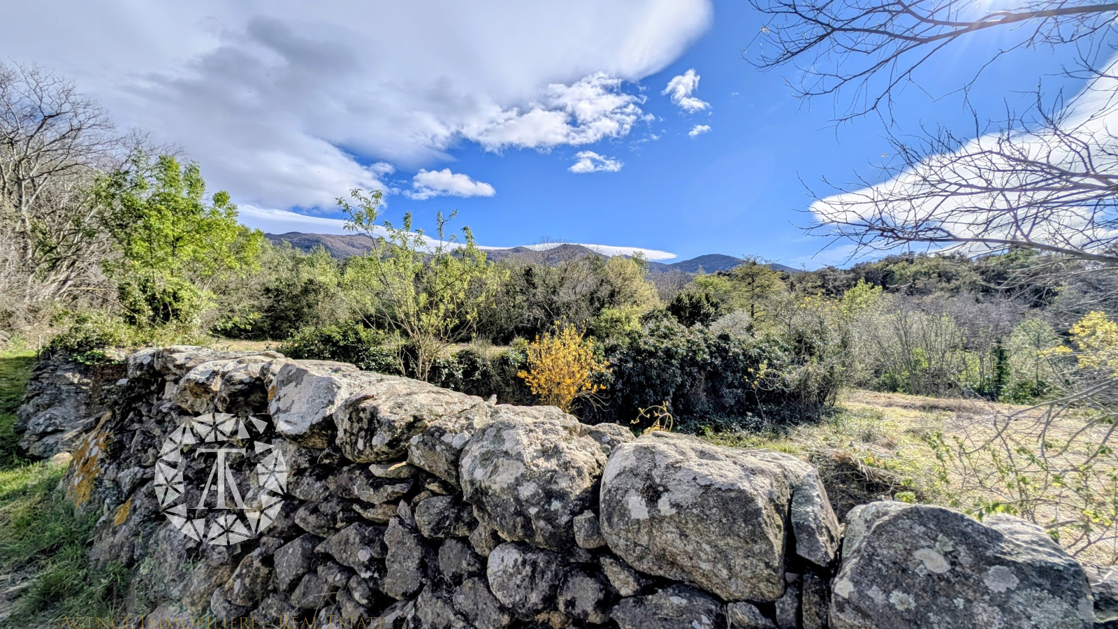 Image_2, Terrain agricole, Villelongue-dels-Monts, ref :V2067