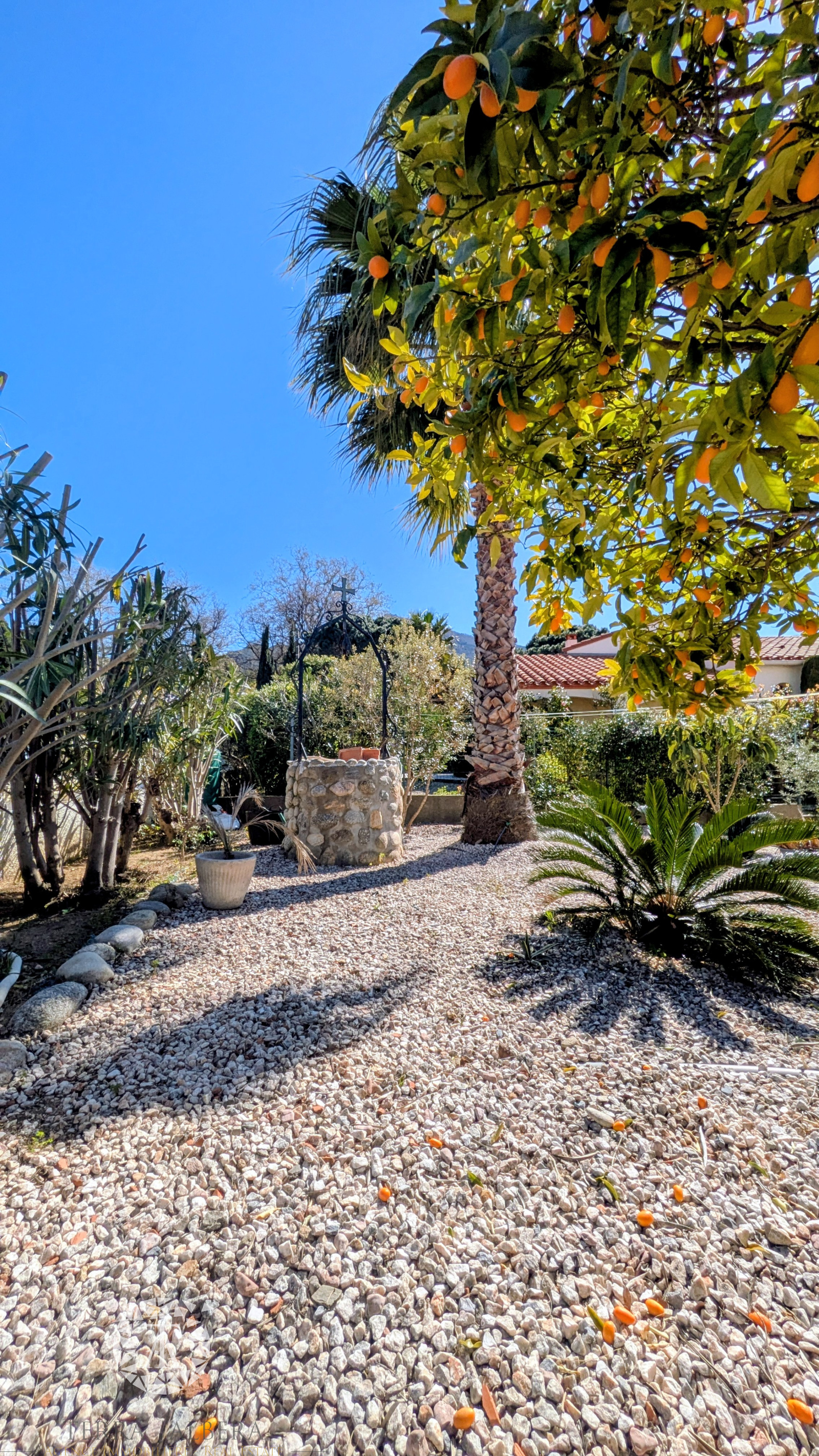 Image_21, Maison, Sorède, ref :D2047