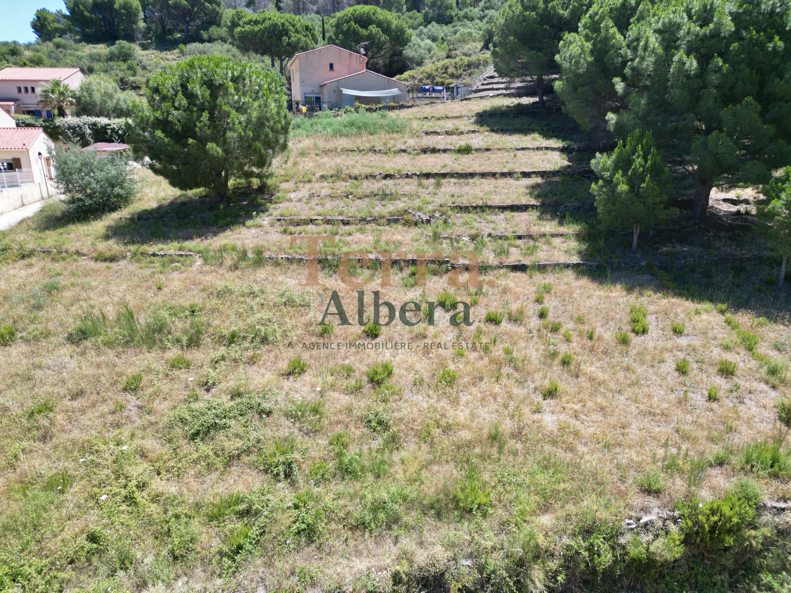 Image_4, Terrain, Collioure, ref :V2142