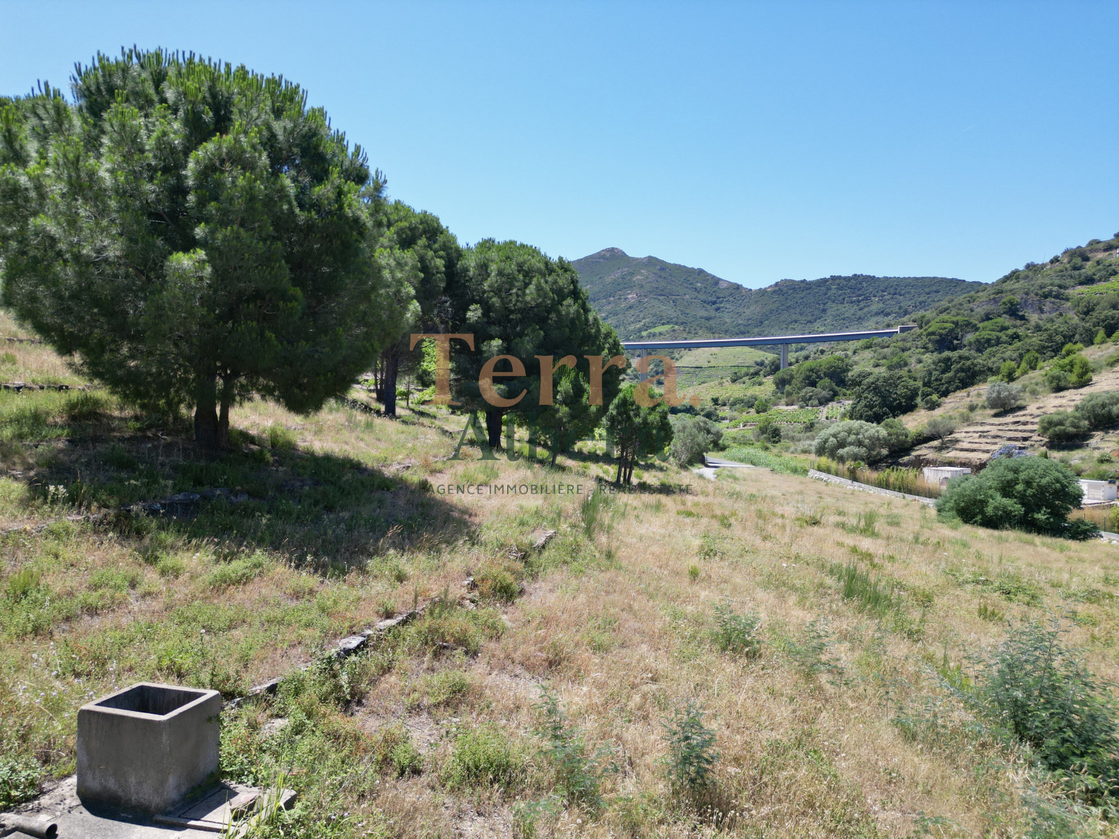 Image_1, Terrain, Collioure, ref :V2142