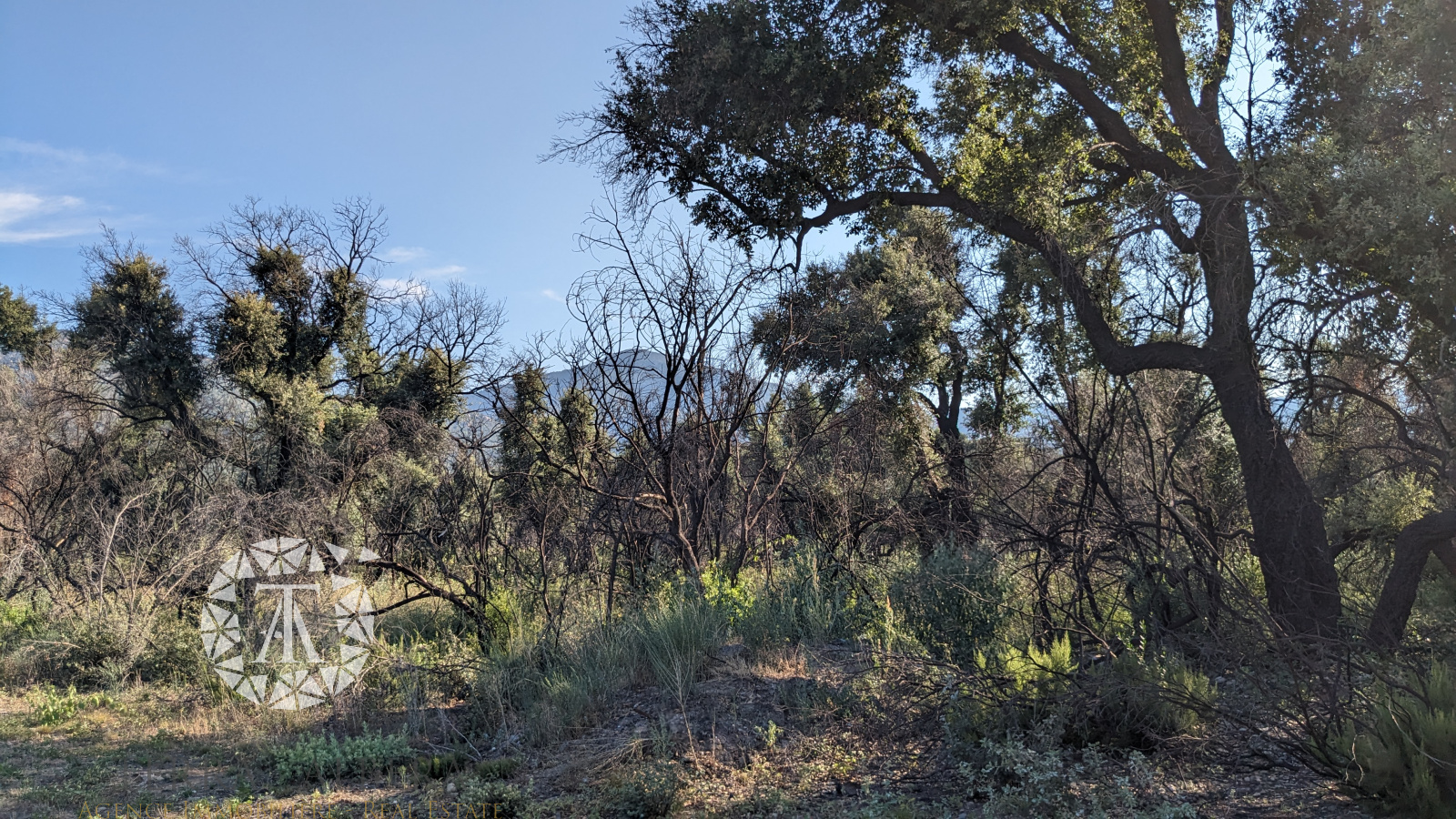 Image_2, Terrain agricole, Saint-André, ref :ML1514