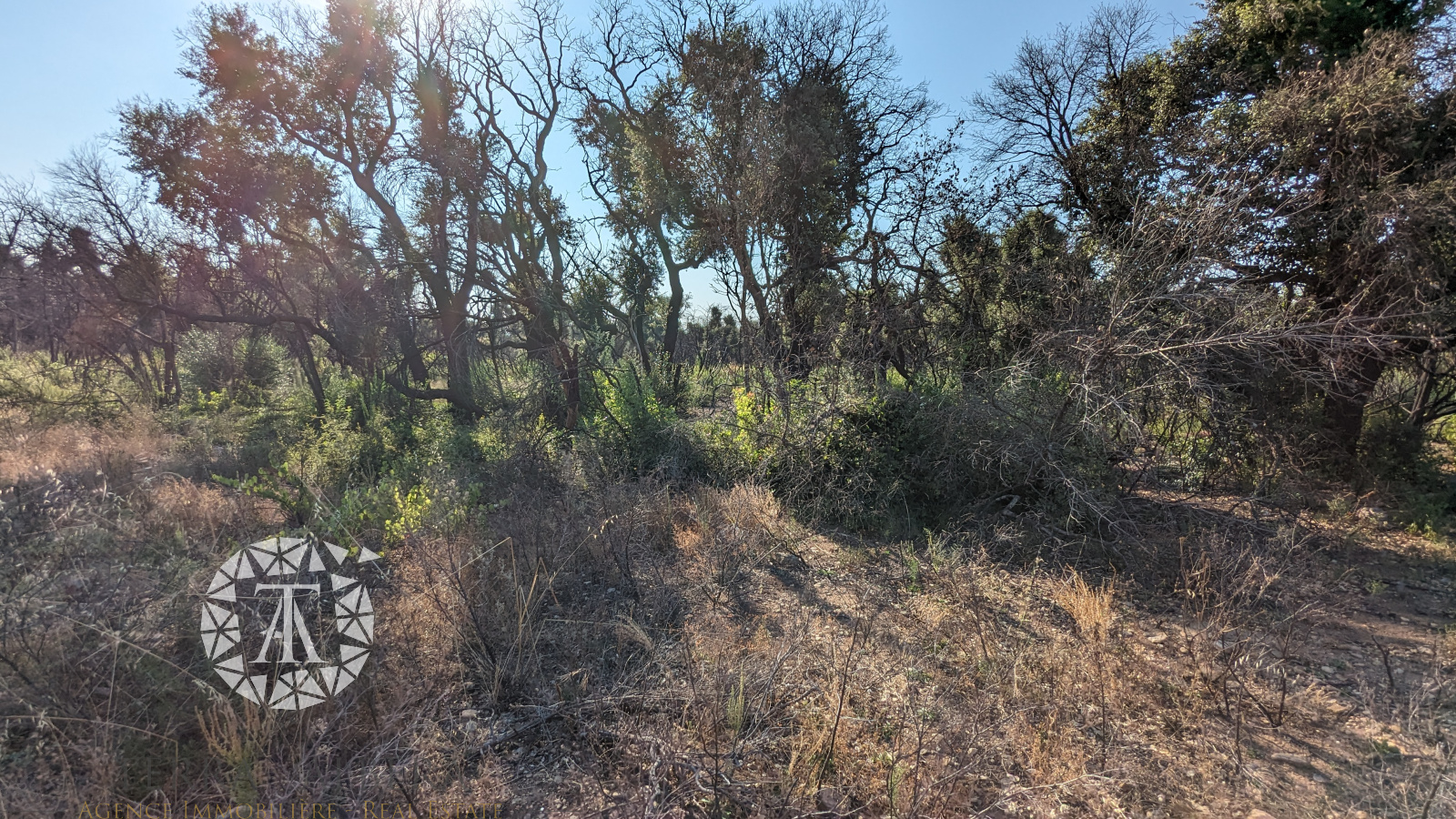 Image_3, Terrain agricole, Saint-André, ref :ML1514