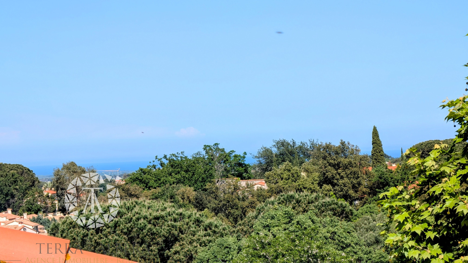 Image_7, Maison de village, Laroque-des-Albères, ref :V1777