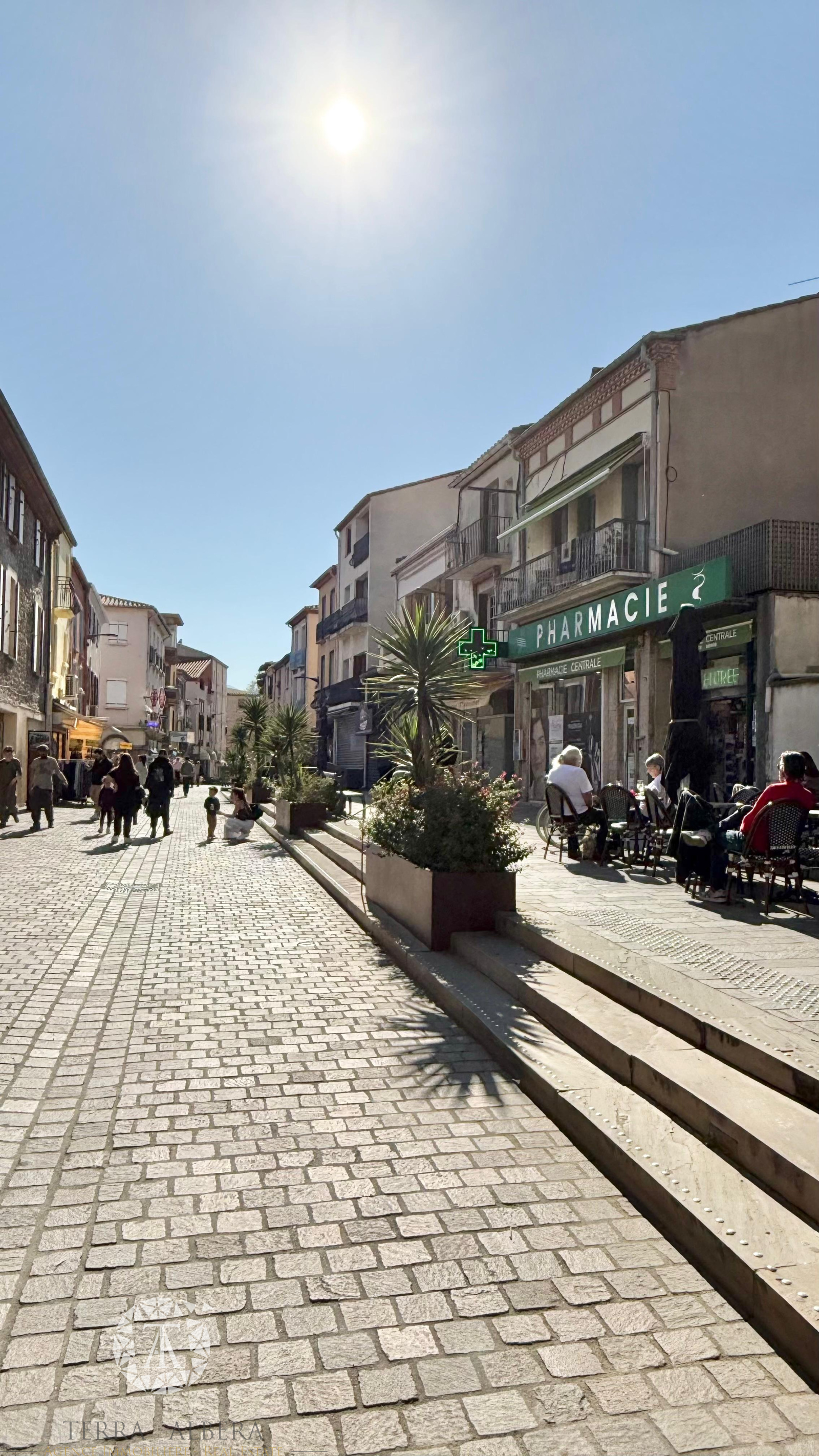 Image_17, Murs commerciaux, Argelès-sur-Mer, ref :2002