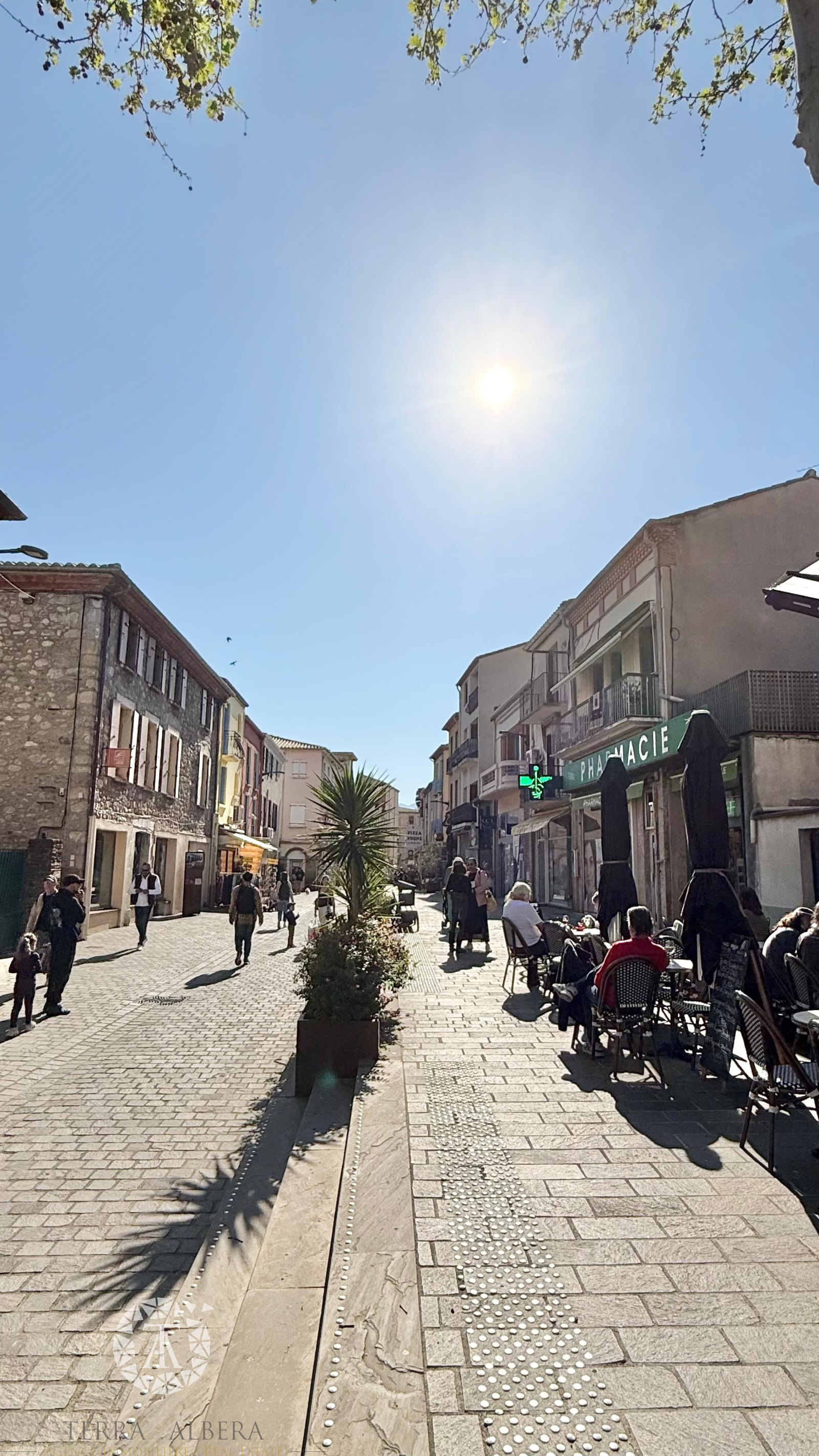 Image_1, Murs commerciaux, Argelès-sur-Mer, ref :2002