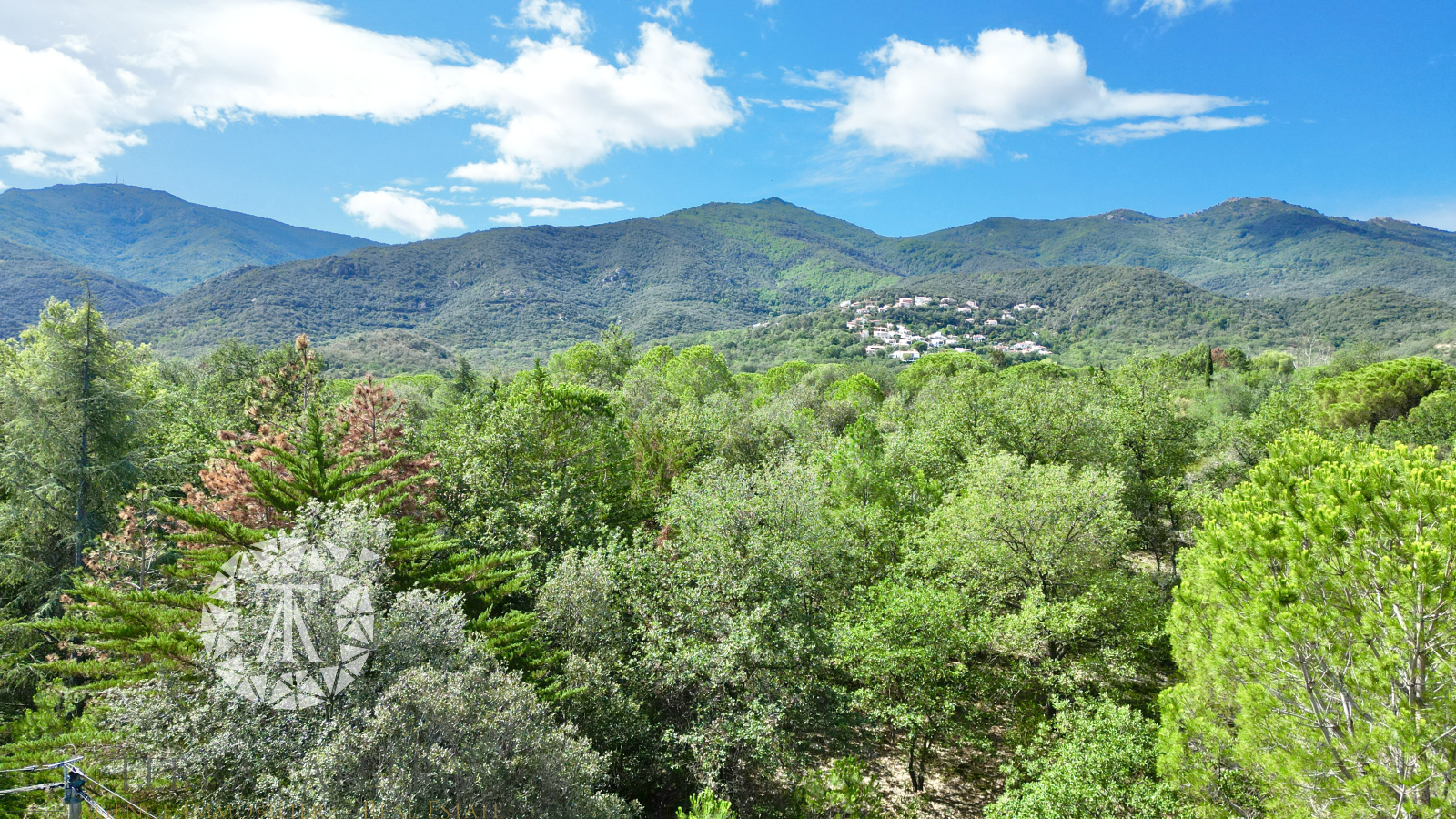 Image_1, Terrain à batir, Laroque-des-Albères, ref :V1688