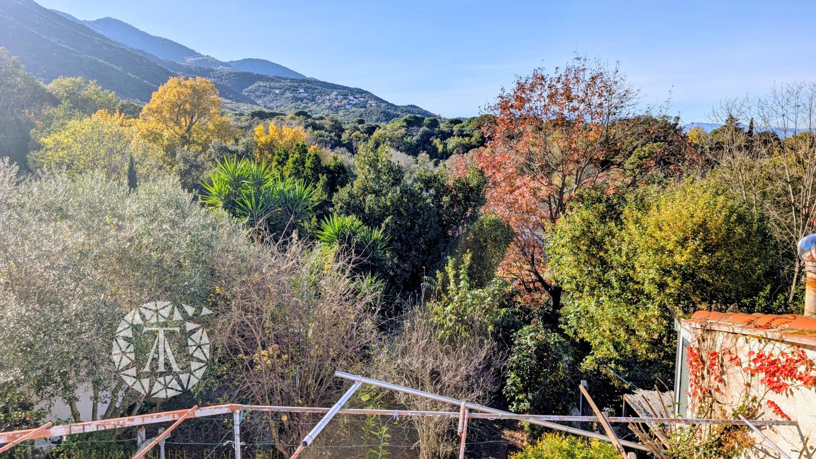 Image_15, Maison de village, Laroque-des-Albères, ref :V1944