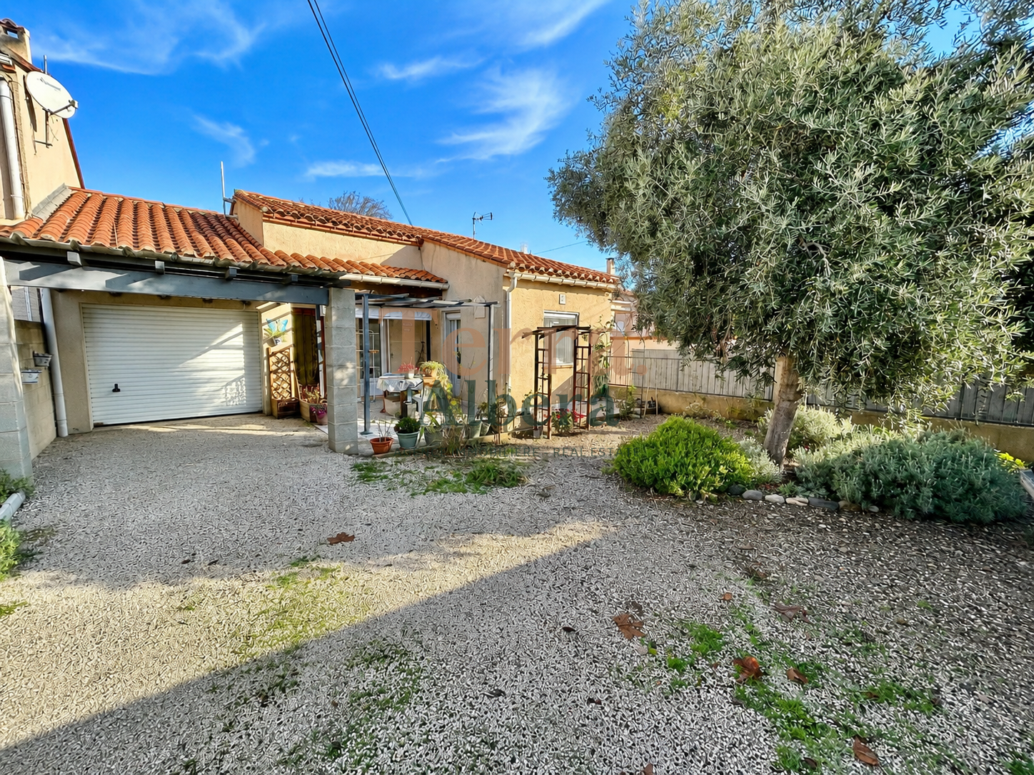 Agence immobilière de TERRA ALBERA