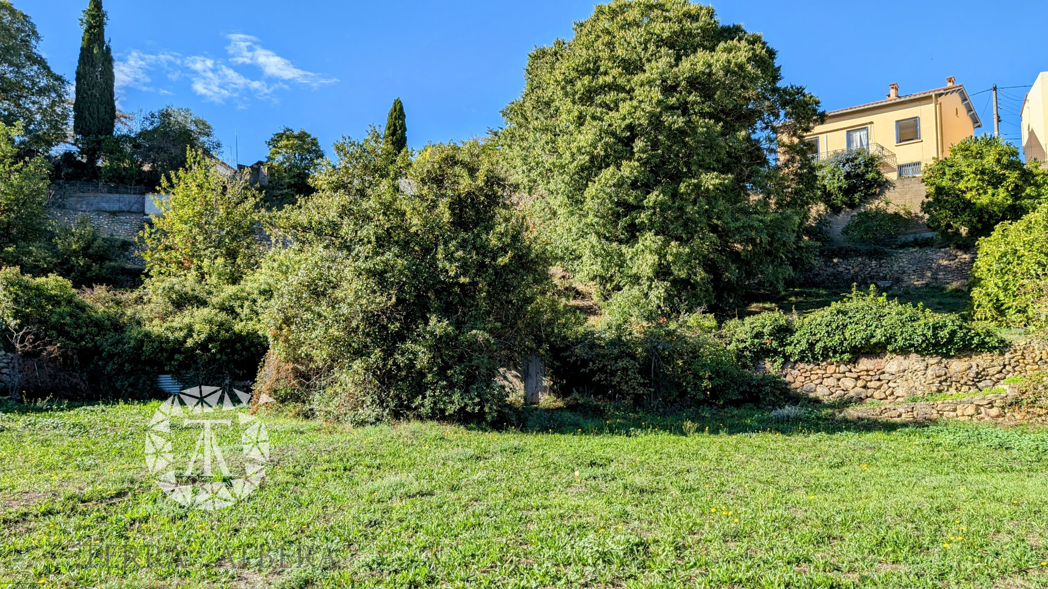 Agence immobilière de TERRA ALBERA