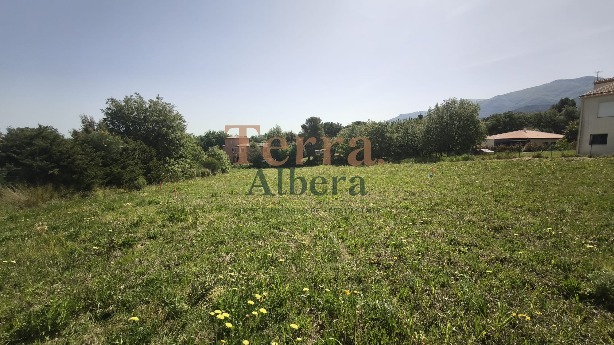Agence immobilière de TERRA ALBERA