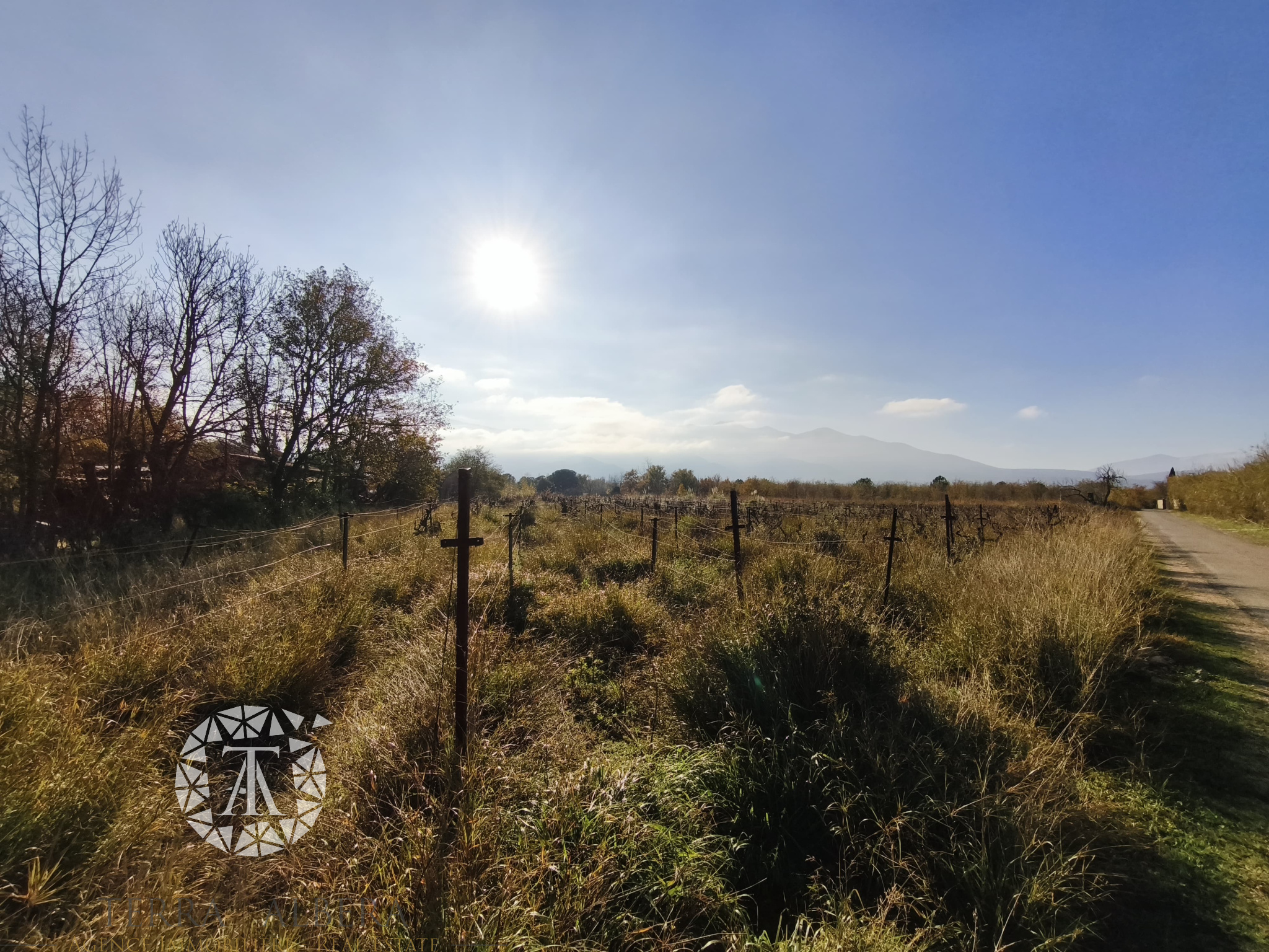 Agence immobilière de TERRA ALBERA