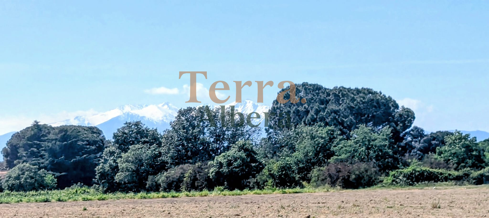 Agence immobilière de TERRA ALBERA