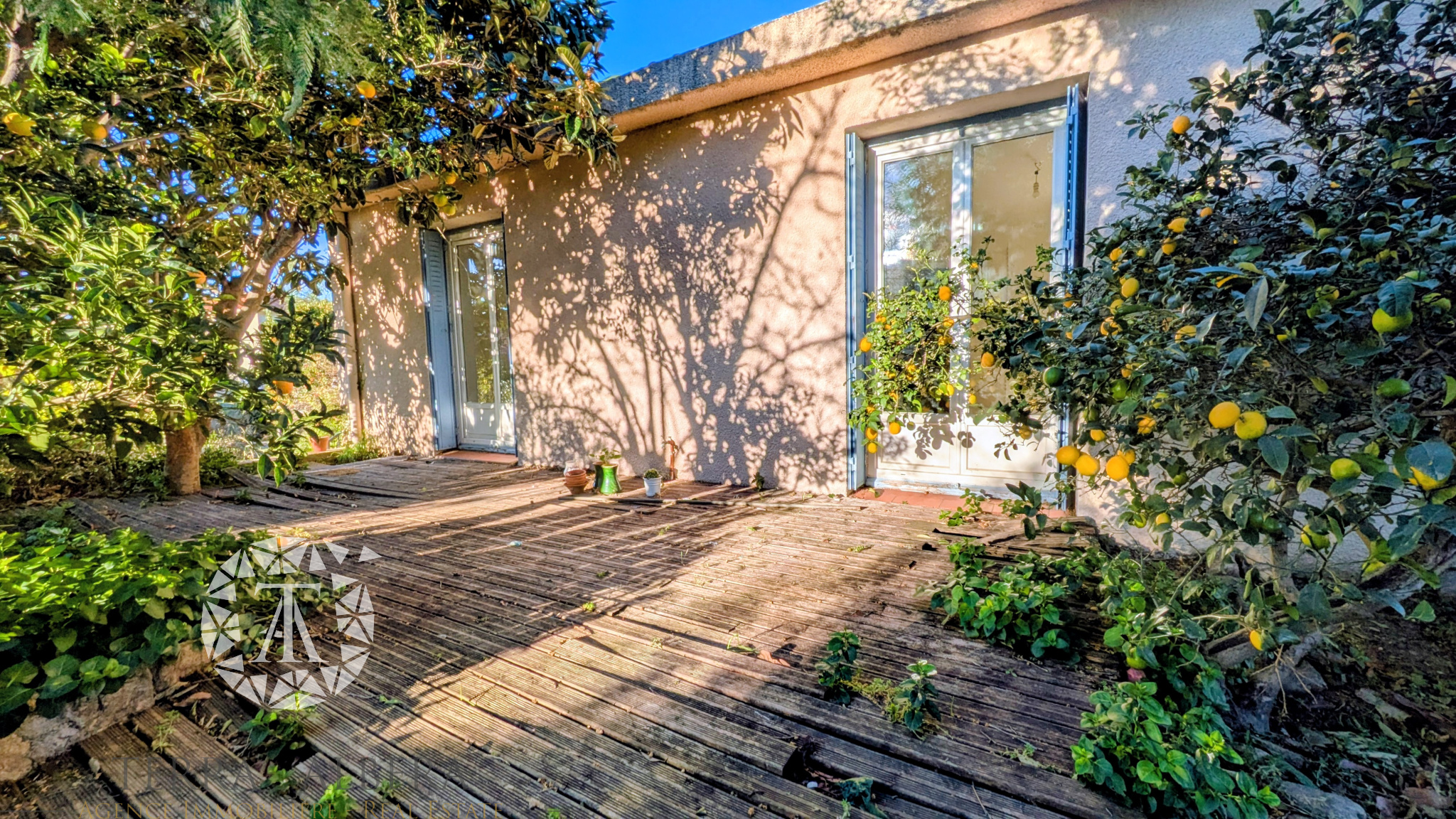 Agence immobilière de TERRA ALBERA