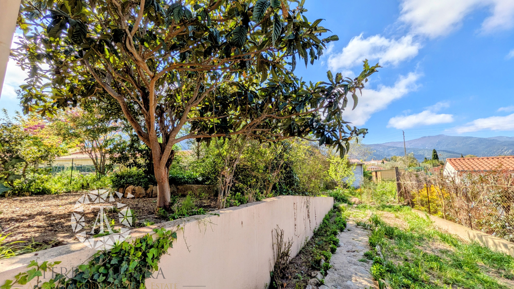 Agence immobilière de TERRA ALBERA