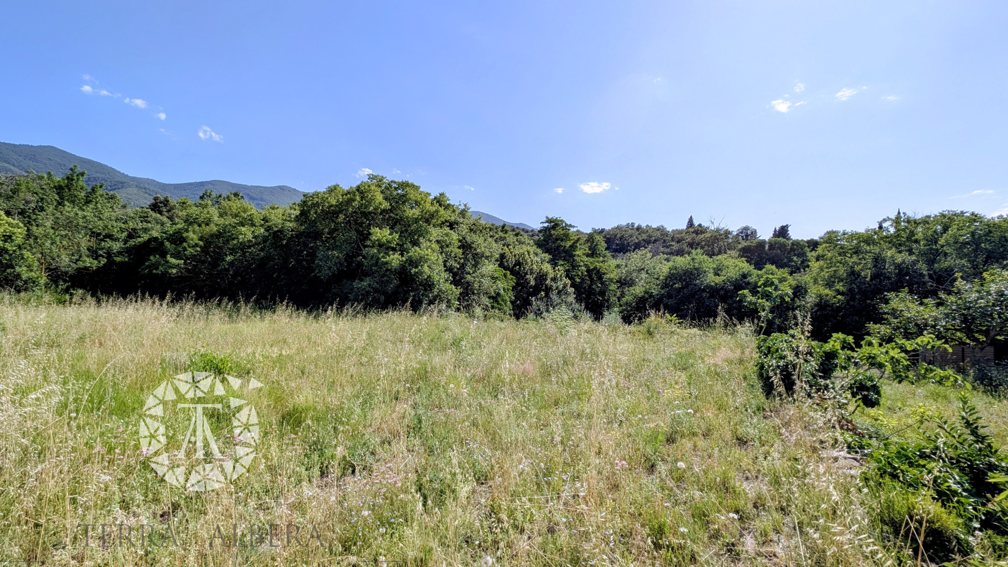 Agence immobilière de TERRA ALBERA
