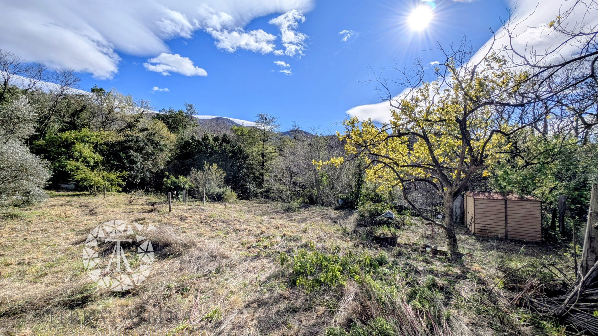 Agence immobilière de TERRA ALBERA