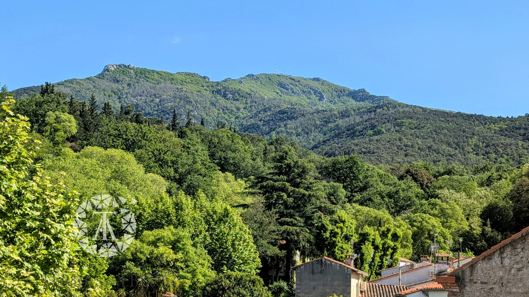Agence immobilière de TERRA ALBERA