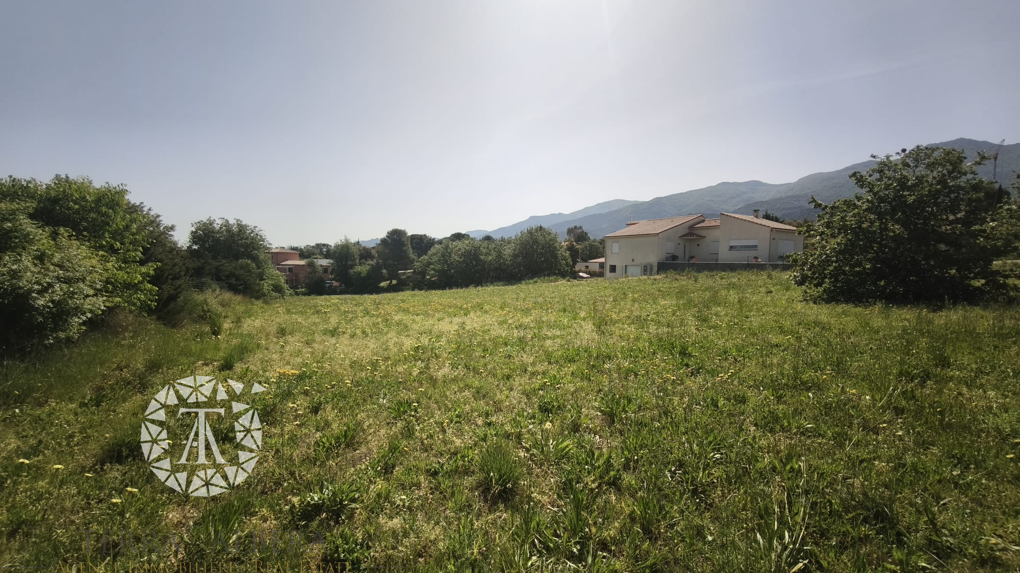 Agence immobilière de TERRA ALBERA