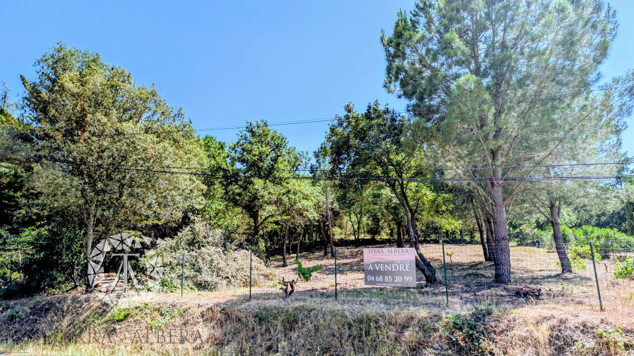 Agence immobilière de TERRA ALBERA
